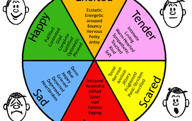 The Difference Between a Feeling and an Emotion