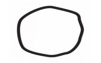 Is This A Circle? What The Answer Reveals About You