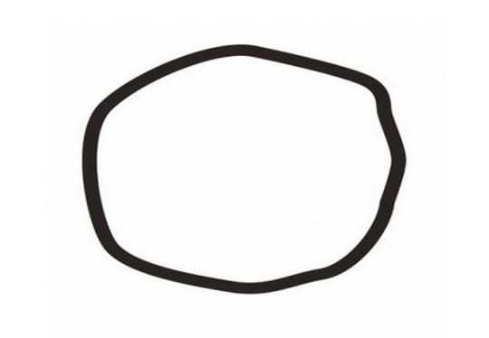 Is This A Circle? What The Answer Reveals About You