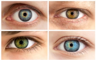 Eye Color can Predict a Person who is More Competitive, Egocentric And Skeptical