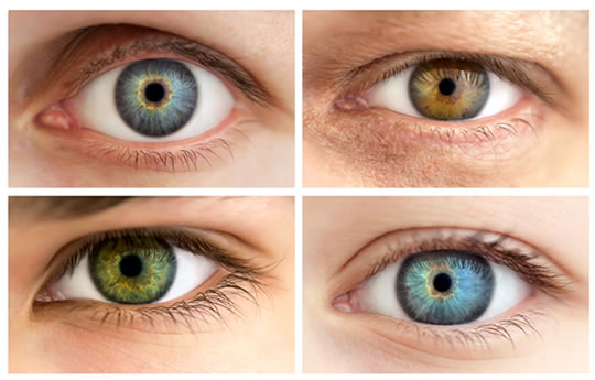 Eye Color can Predict a Person who is More Competitive, Egocentric And Skeptical